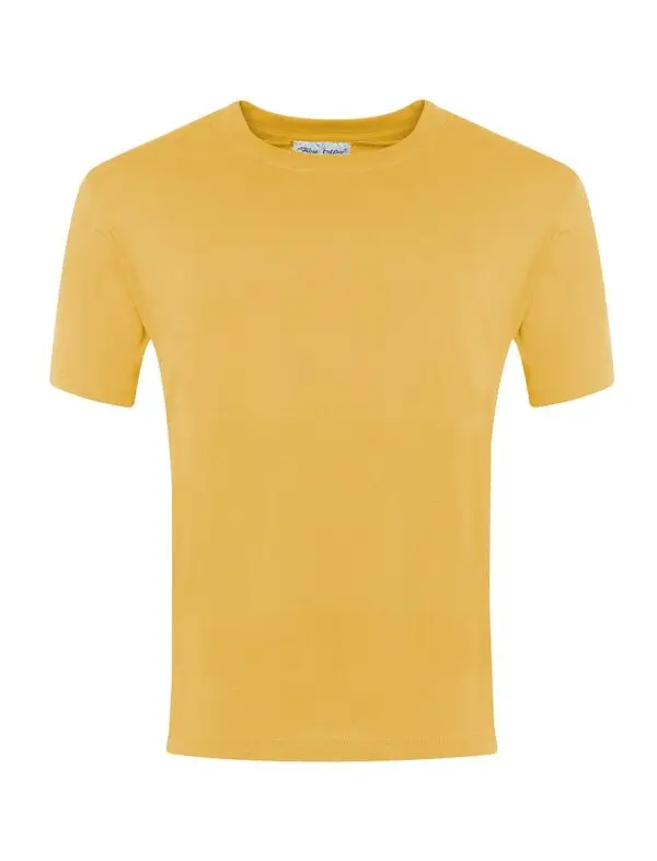 Uplands P.E T-shirt (House Colour) - Image 5