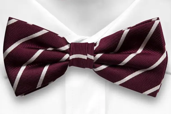 St Benedict Biscop Bow