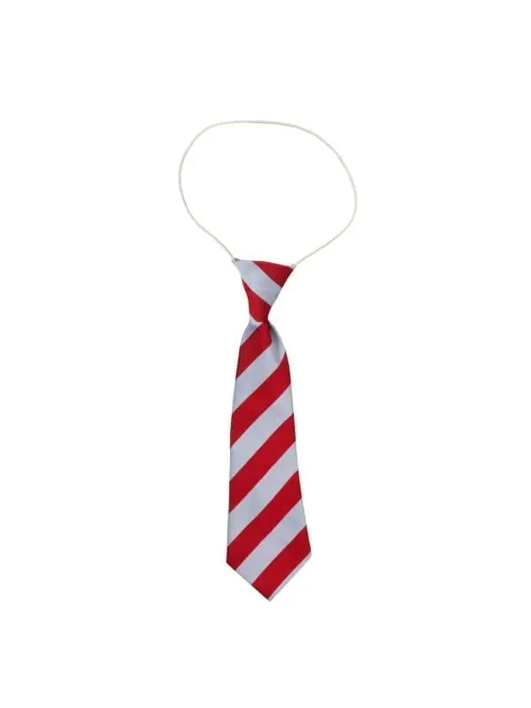 Red/Silver Wide Striped Elastic Tie