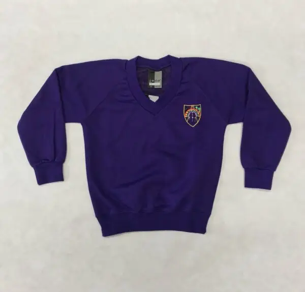 Lanesfield V Neck Sweatshirt - Image 4