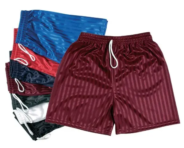 P.E. Shorts (Black or Burgundy)