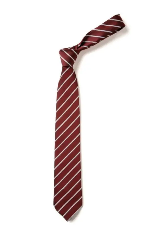 St Benedict Biscop Tie