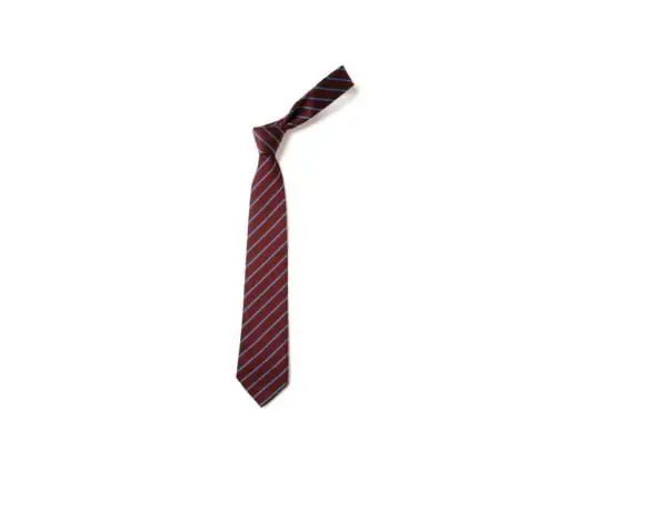 St. Bartholomew's Tie (Standard and Elastic)