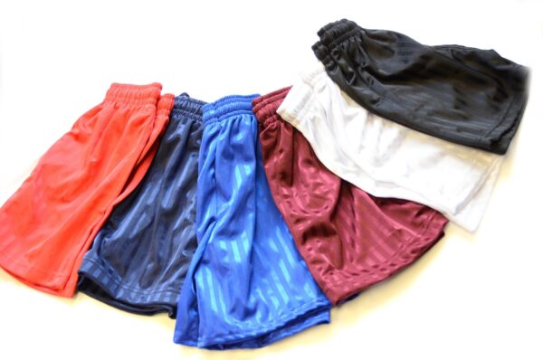 Unisex Shadow Stripe Shorts