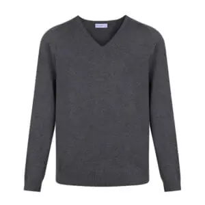 Standard Fit Cotton V-Neck