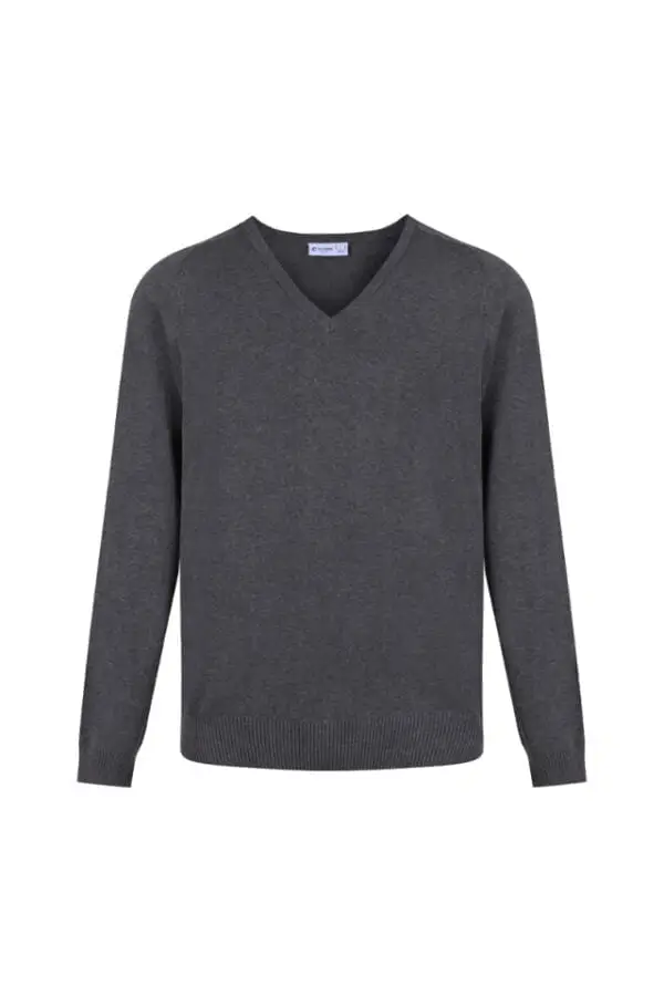 Standard Fit Cotton V-Neck