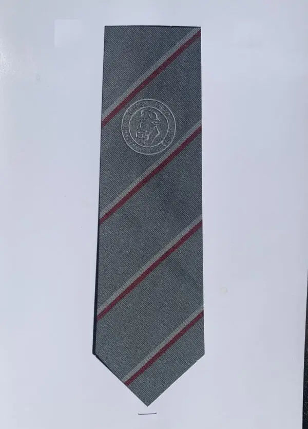 Thomas Telford UTC - Tie - Image 2