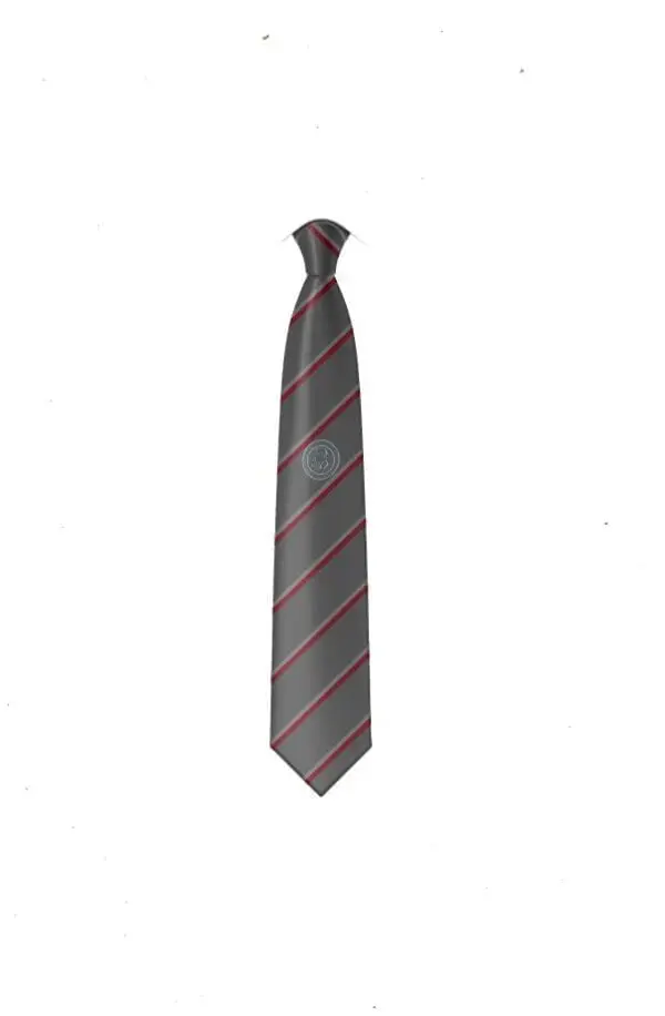 Thomas Telford UTC - Tie