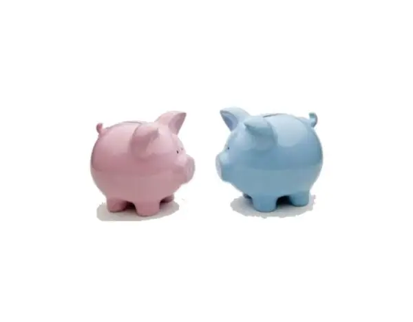 Savings Club