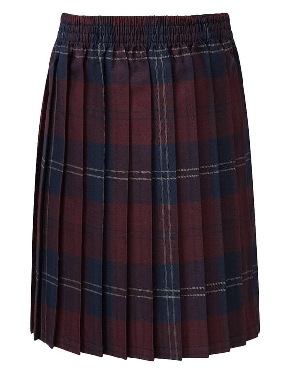 St Benedicts Junior Skirt