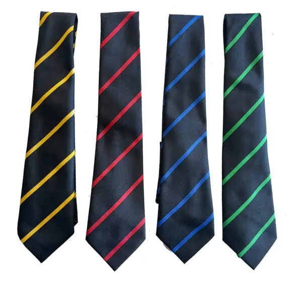Smestow Academy House Tie