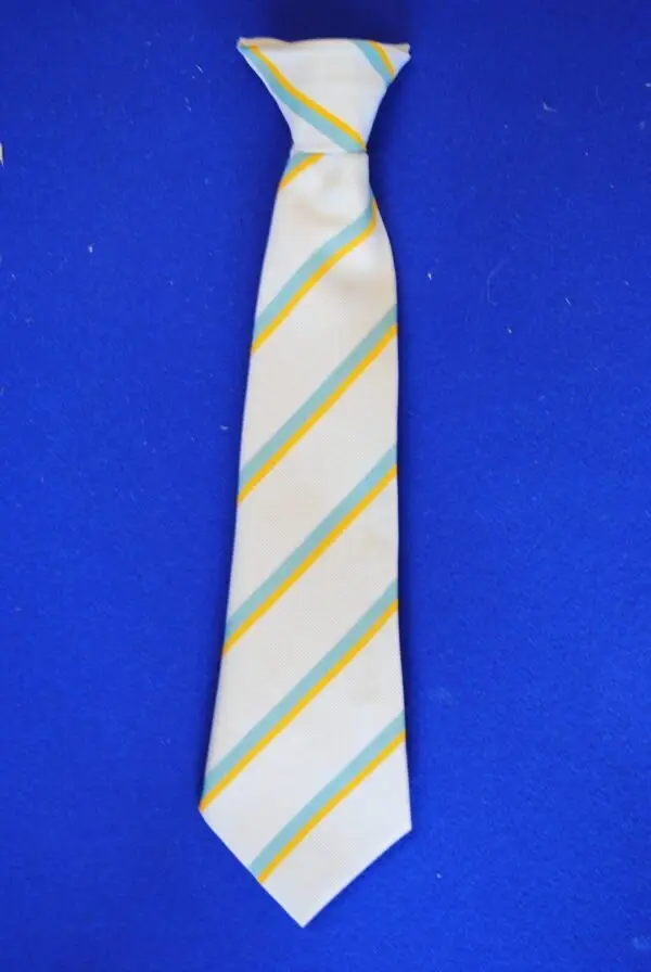 Barrow School Clip On Ties