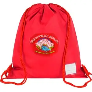 Brockton Pump Bag