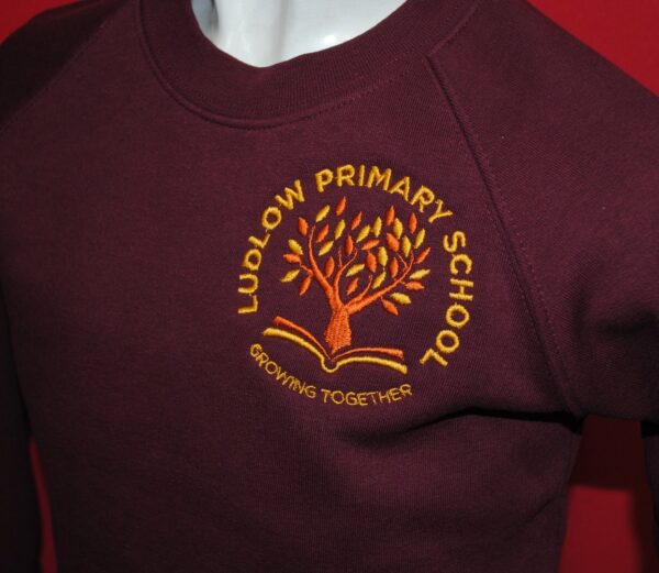 Ludlow Primary Sweatshirt web Jun 19