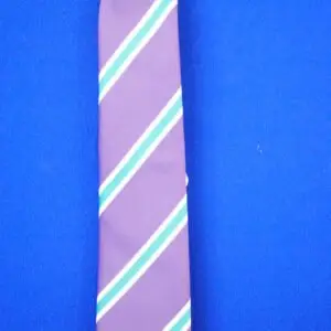 Oldbury Wells Lower School Tie