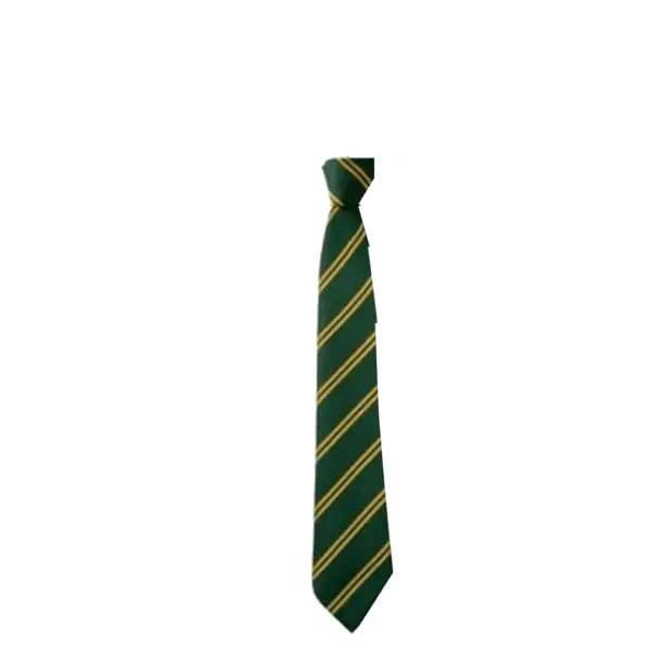 St Johns School Elasticated Tie