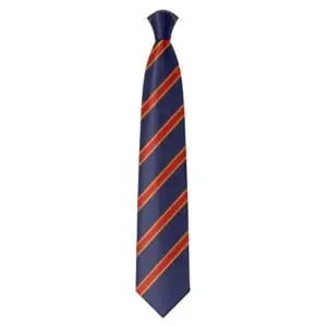 St Regis Year 7 - 9 Tie