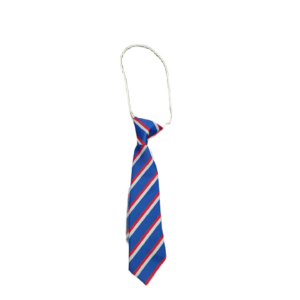 All Saints Trysull Tie